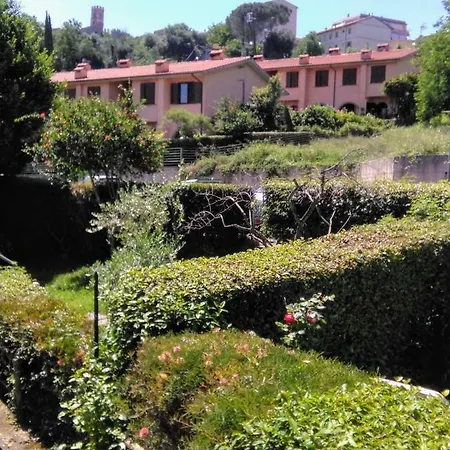 Orchidea Montemerano