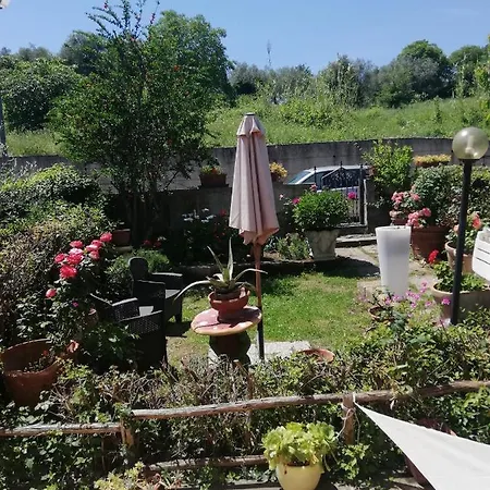 Appartement Orchidea