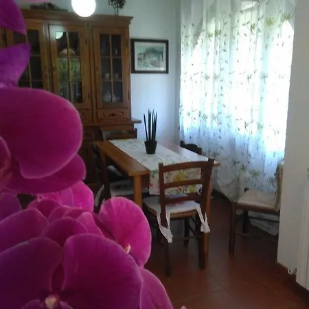 Orchidea Montemerano