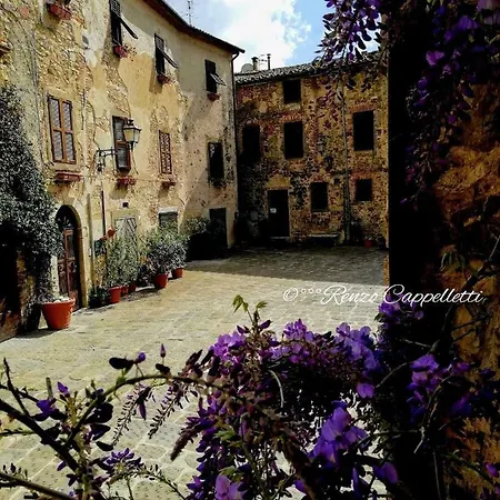 Orchidea * Montemerano